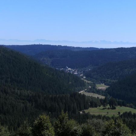 Apartamento Haus Aretz Feldberg  Exterior foto